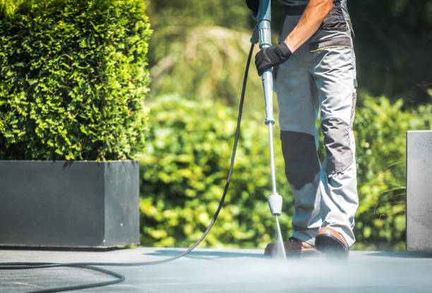 Best Driveway Pressure Washing  in Williamsburg, FL