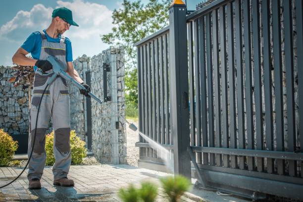 Best Soft Washing  in Williamsburg, FL