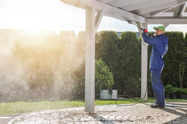 Best Animal Enclosure Cleaning  in Williamsburg, FL