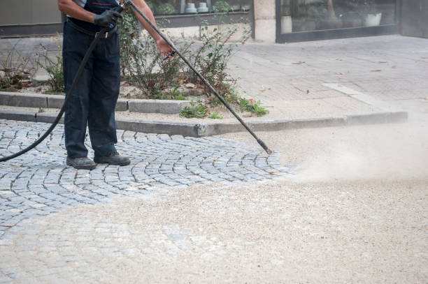 Best Animal Enclosure Cleaning  in Williamsburg, FL