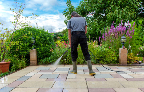 Best Fence Cleaning  in Williamsburg, FL