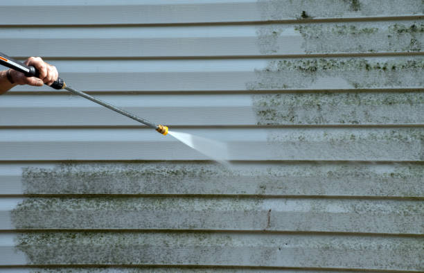 Best Dumpster Area Cleaning  in Williamsburg, FL
