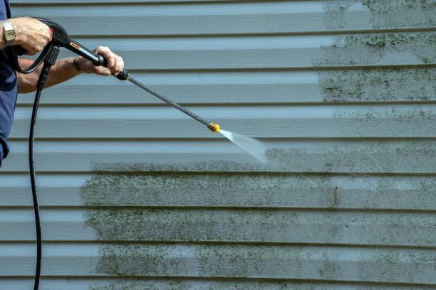 Best Dumpster Area Cleaning  in Williamsburg, FL