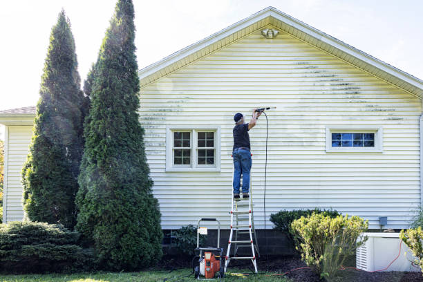 Best Paint Preparation  in Williamsburg, FL